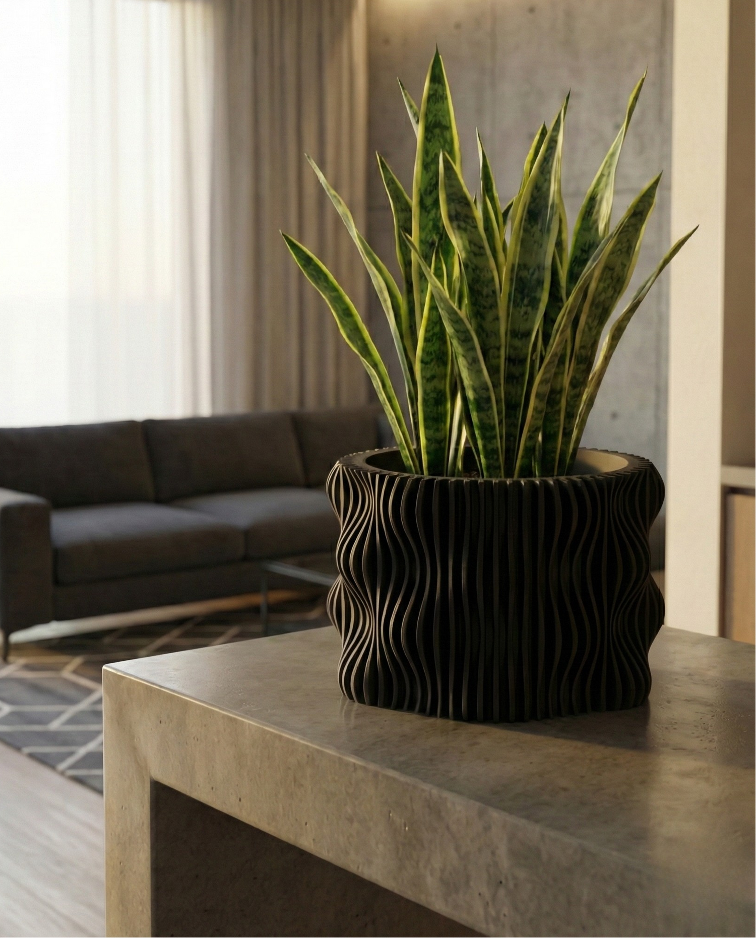 Decorative plant in a modern living room with a sofa and large windows.