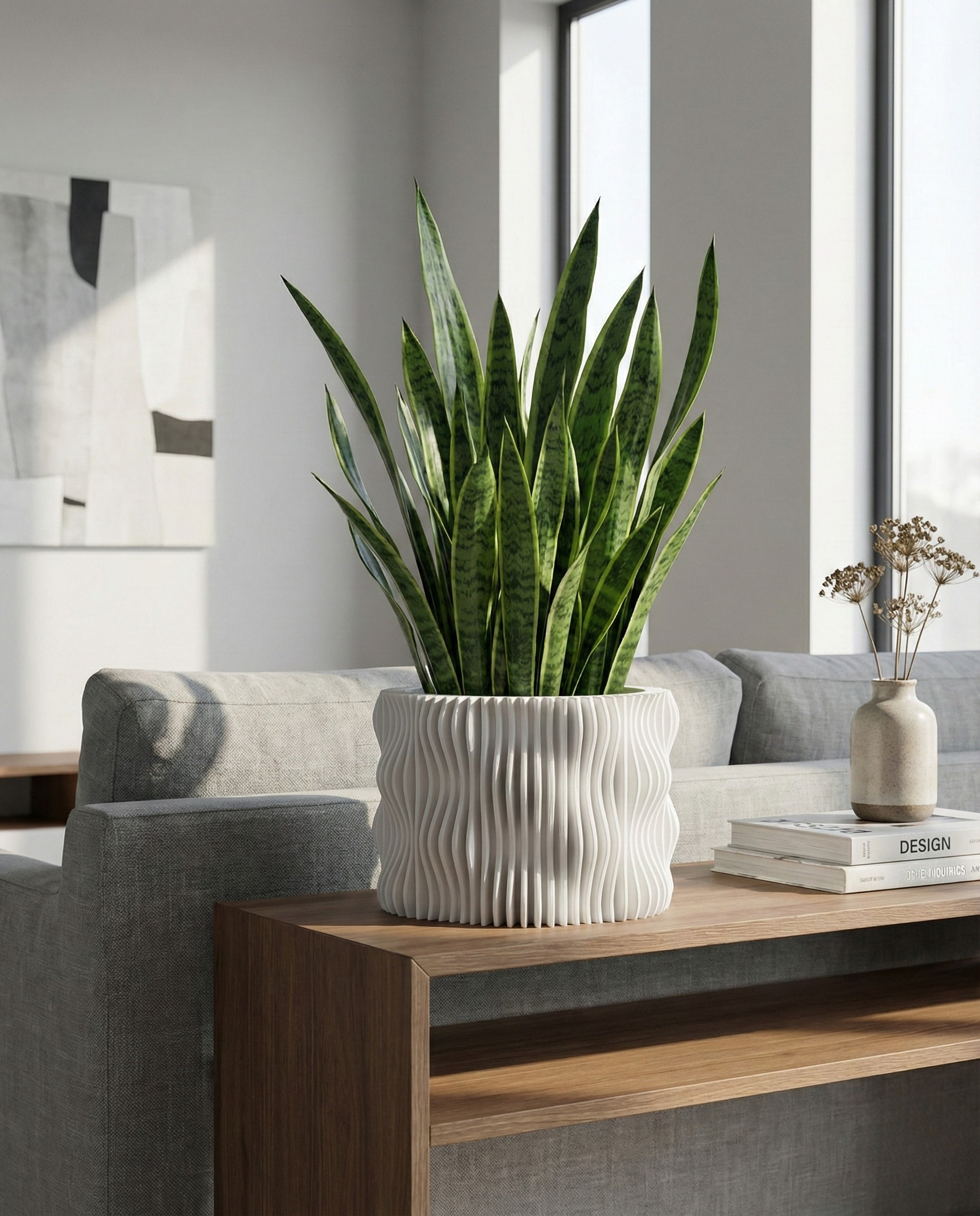Potted snake plant on a wooden side table in a living room setting