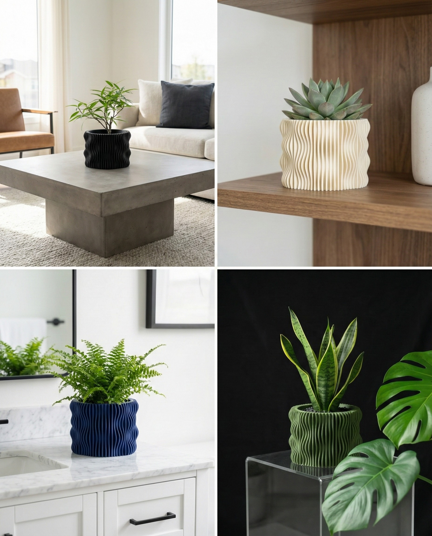 Collage of various potted plants in different settings including a living room, office, and bathroom.