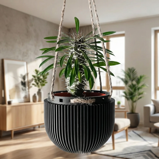 Hanging planter with a plant in a modern living room setting