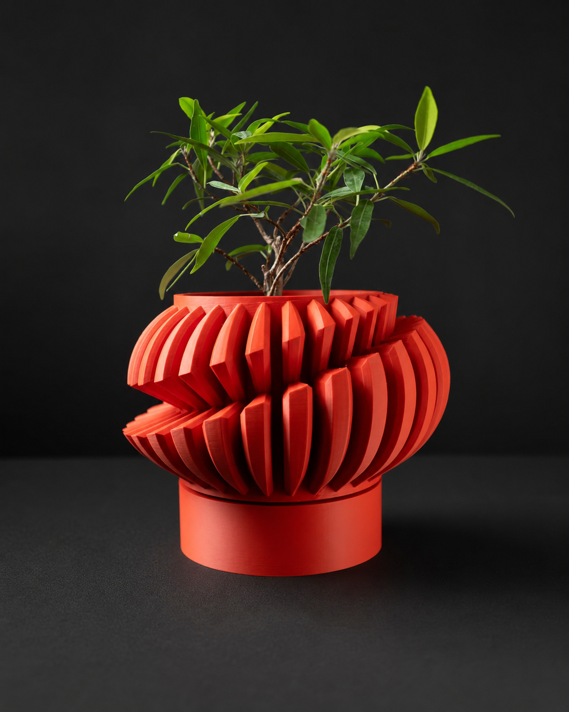 The Luxe sculptural planter with coordinating tray and green plant